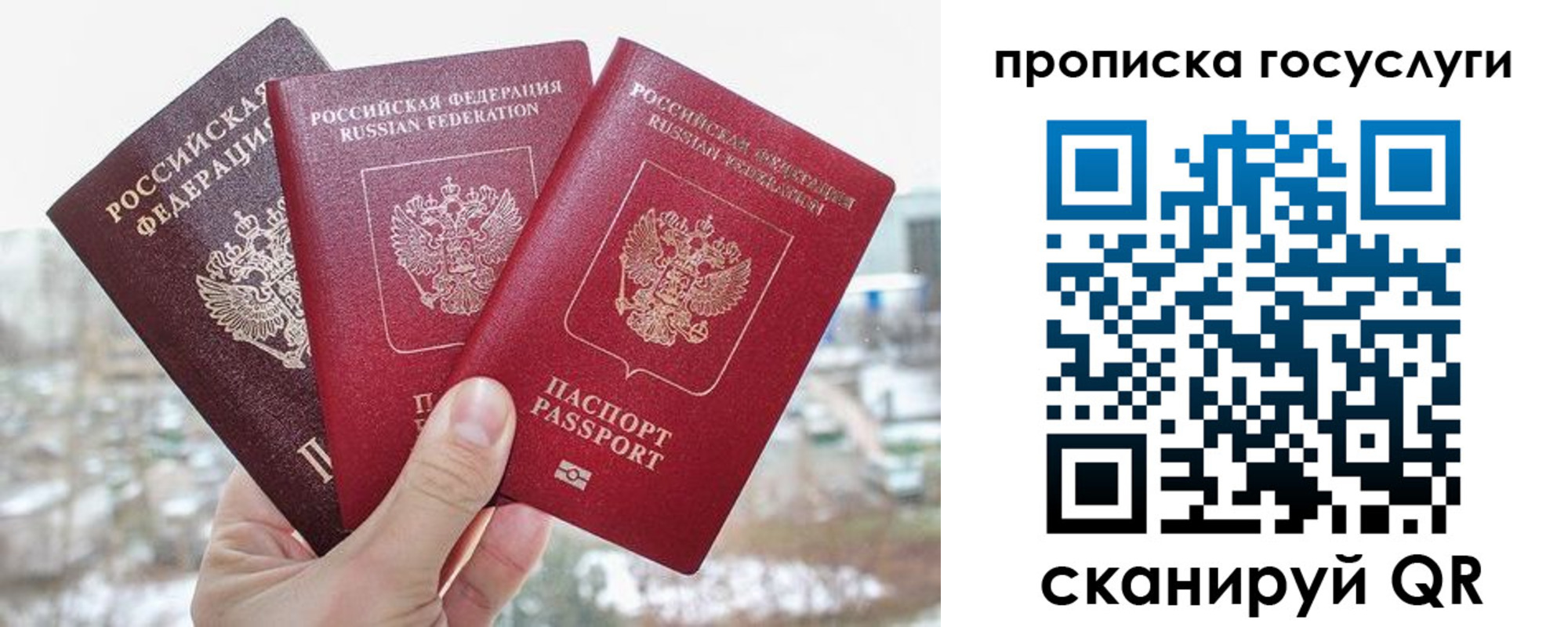 прописка законно в Жигулёвске